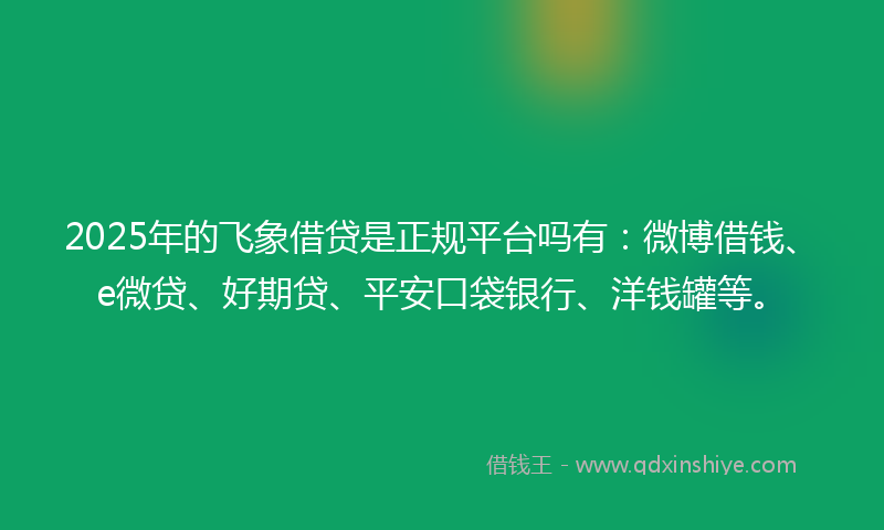 2025年的飞象借贷是正规平台吗有：微博借钱、e微贷、好期贷、平安口袋银行、洋钱罐等。