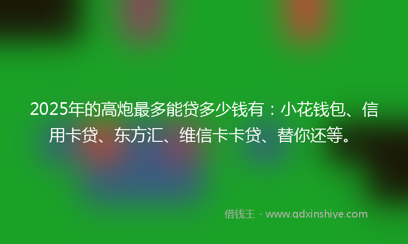 2025年的高炮最多能贷多少钱有：小花钱包、信用卡贷、东方汇、维信卡卡贷、替你还等。