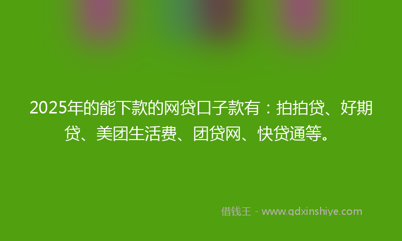 2025年的能下款的网贷口子款有：拍拍贷、好期贷、美团生活费、团贷网、快贷通等。