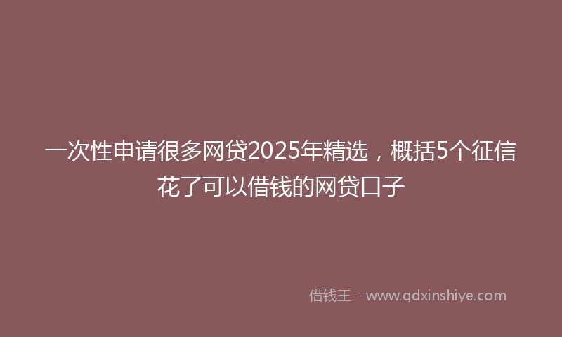 一次性申请很多网贷2025年精选，概括5个征信花了可以借钱的网贷口子