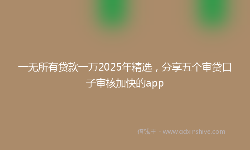 一无所有贷款一万2025年精选，分享五个审贷口子审核加快的app