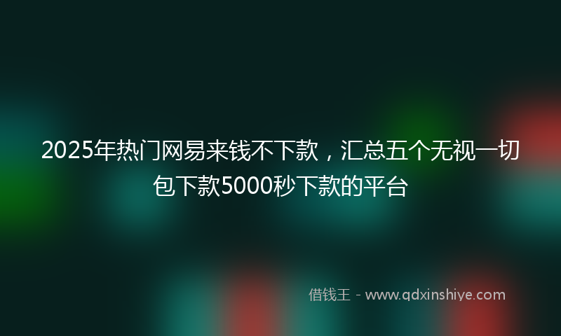 2025年热门网易来钱不下款，汇总五个无视一切包下款5000秒下款的平台