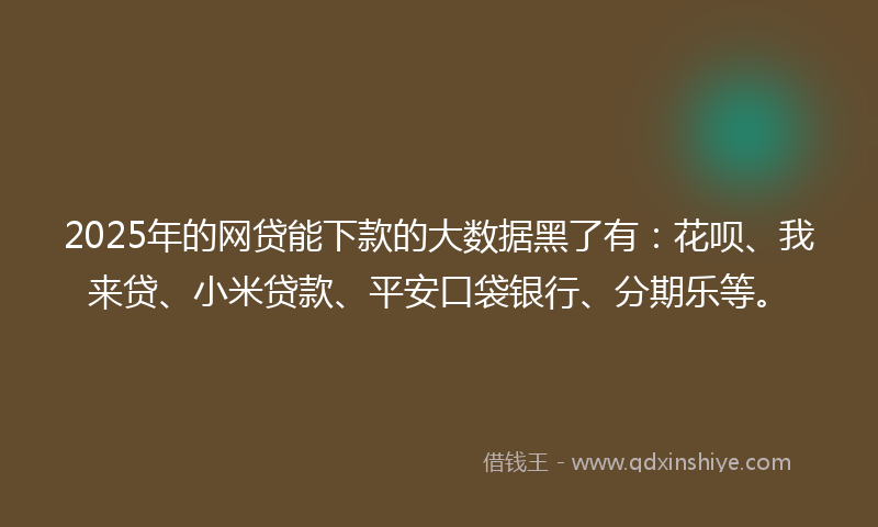 2025年的网贷能下款的大数据黑了有：花呗、我来贷、小米贷款、平安口袋银行、分期乐等。