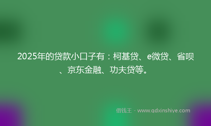 2025年的贷款小口子有：柯基贷、e微贷、省呗、京东金融、功夫贷等。