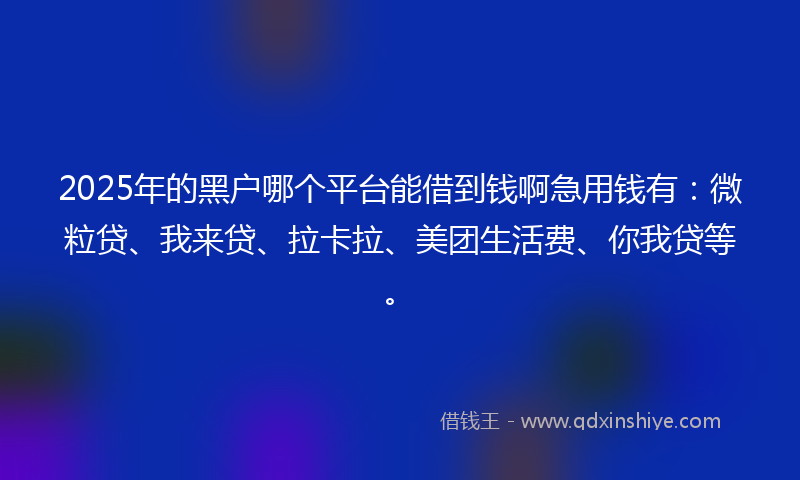 2025年的黑户哪个平台能借到钱啊急用钱有:微粒贷、我来贷、拉卡拉、美团生活费、你我贷等。