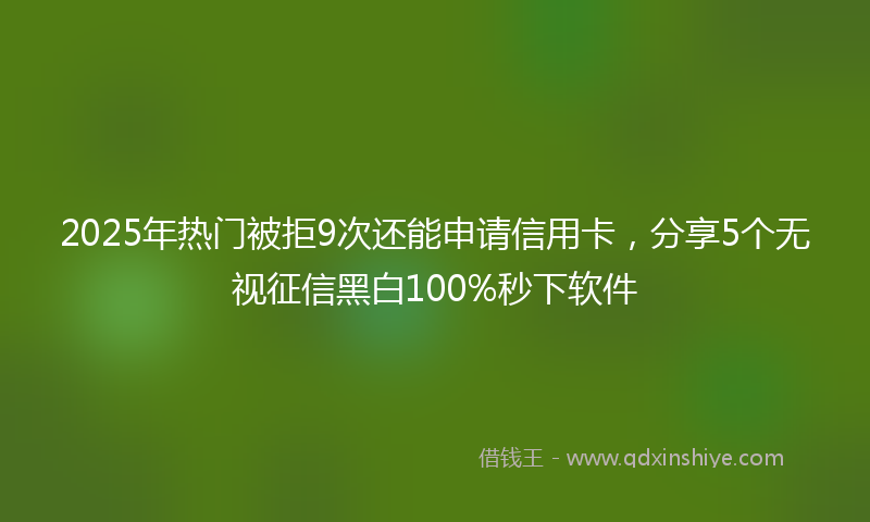 2025年热门被拒9次还能申请信用卡，分享5个无视征信黑白100%秒下软件
