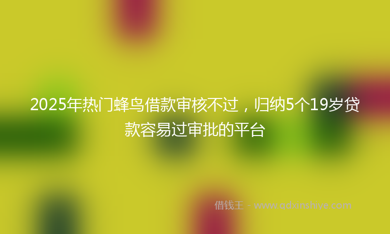 2025年热门蜂鸟借款审核不过，归纳5个19岁贷款容易过审批的平台