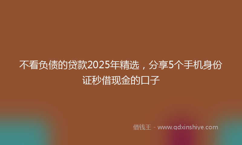 不看负债的贷款2025年精选，分享5个手机身份证秒借现金的口子