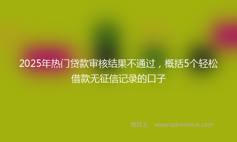 2025年热门贷款审核结果不通过，概括5个轻松借款无征信记录的口子