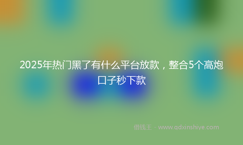 2025年热门黑了有什么平台放款，整合5个高炮口子秒下款