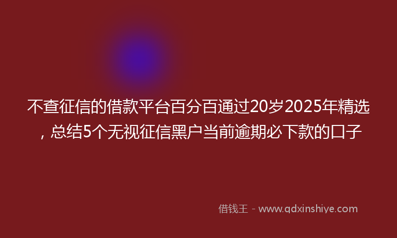 不查征信的借款平台百分百通过20岁2025年精选，总结5个无视征信黑户当前逾期必下款的口子