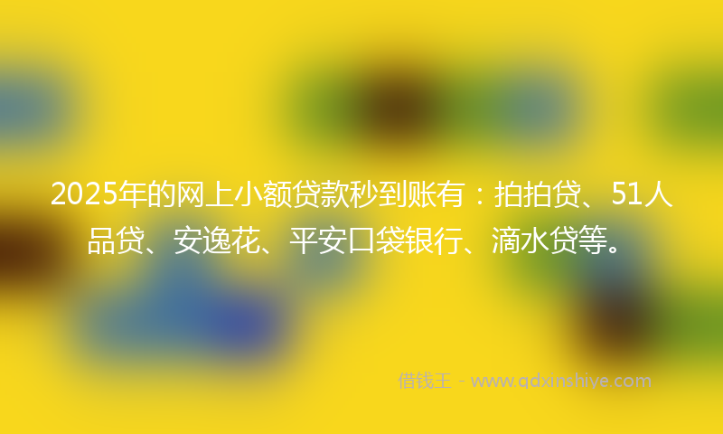 2025年的网上小额贷款秒到账有：拍拍贷、51人品贷、安逸花、平安口袋银行、滴水贷等。