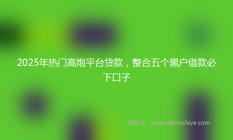 2025年热门高炮平台贷款,整合五个黑户借款必下口子