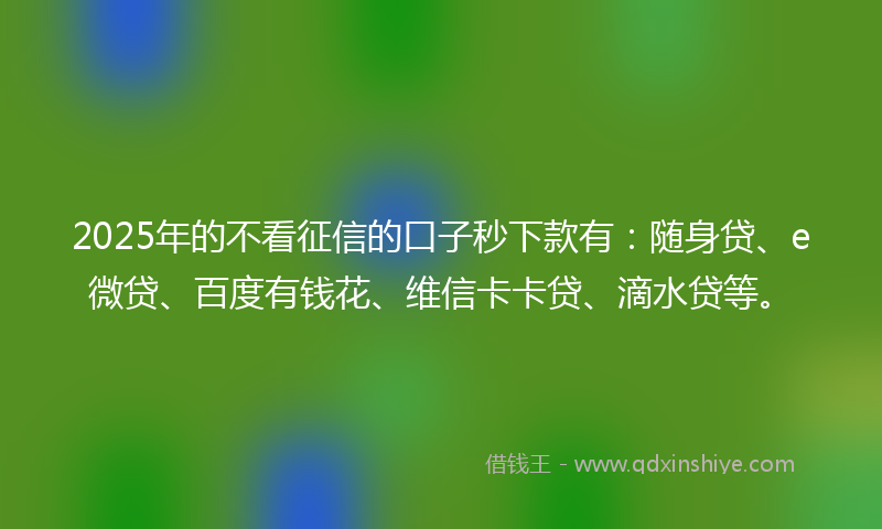 2025年的不看征信的口子秒下款有：随身贷、e微贷、百度有钱花、维信卡卡贷、滴水贷等。