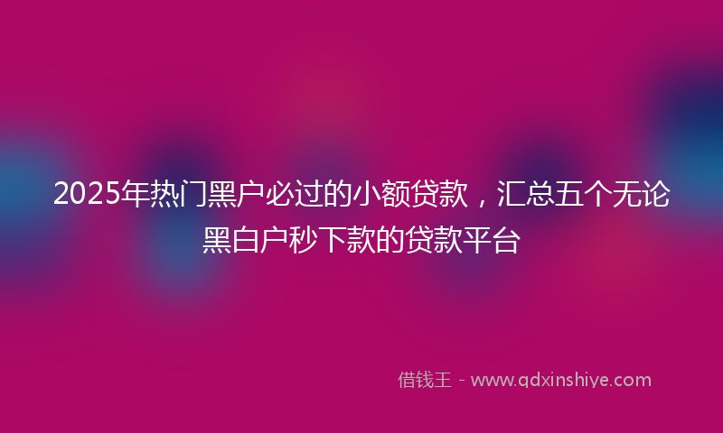 2025年热门黑户必过的小额贷款,汇总五个无论黑白户秒下款的贷款平台