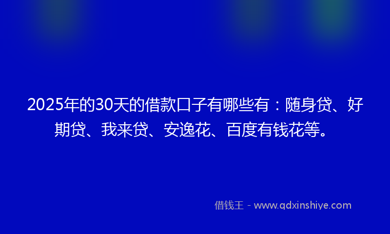 2025年的30天的借款口子有哪些有：随身贷、好期贷、我来贷、安逸花、百度有钱花等。