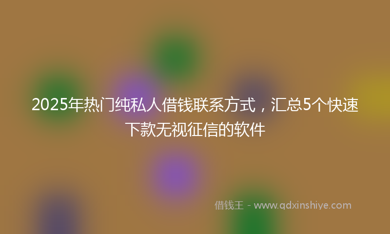2025年热门纯私人借钱联系方式，汇总5个快速下款无视征信的软件