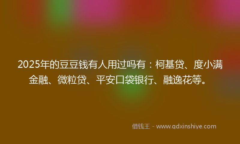 2025年的豆豆钱有人用过吗有：柯基贷、度小满金融、微粒贷、平安口袋银行、融逸花等。