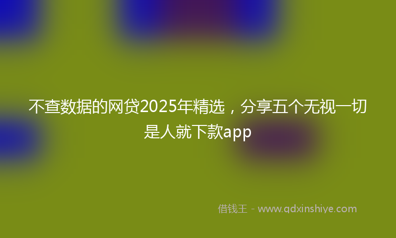 不查数据的网贷2025年精选，分享五个无视一切是人就下款app