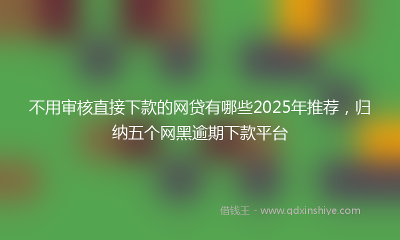 不用审核直接下款的网贷有哪些2025年推荐，归纳五个网黑逾期下款平台