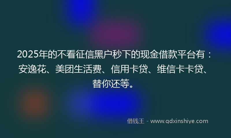 2025年的不看征信黑户秒下的现金借款平台有：安逸花、美团生活费、信用卡贷、维信卡卡贷、替你还等。