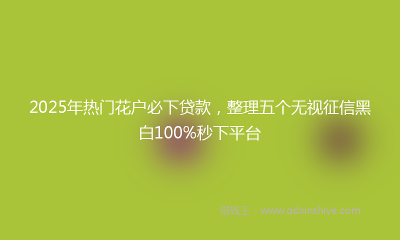 2025年热门花户必下贷款，整理五个无视征信黑白100%秒下平台