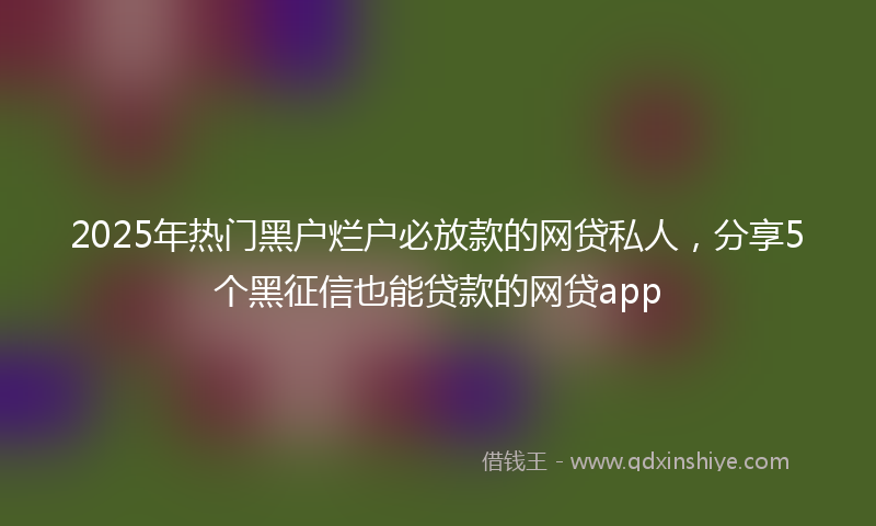 2025年热门黑户烂户必放款的网贷私人,分享5个黑征信也能贷款的网贷app