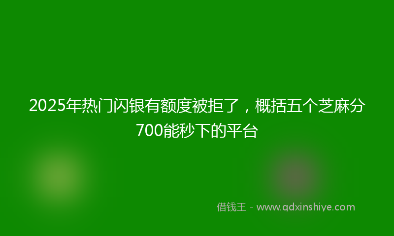 2025年热门闪银有额度被拒了，概括五个芝麻分700能秒下的平台