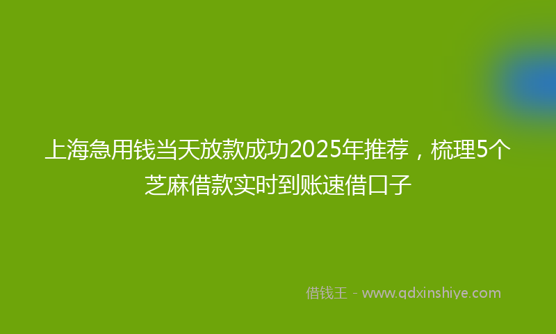 上海急用钱当天放款成功2025年推荐，梳理5个芝麻借款实时到账速借口子