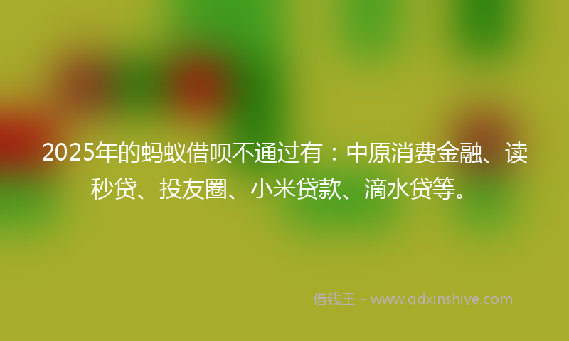 2025年的蚂蚁借呗不通过有：中原消费金融、读秒贷、投友圈、小米贷款、滴水贷等。