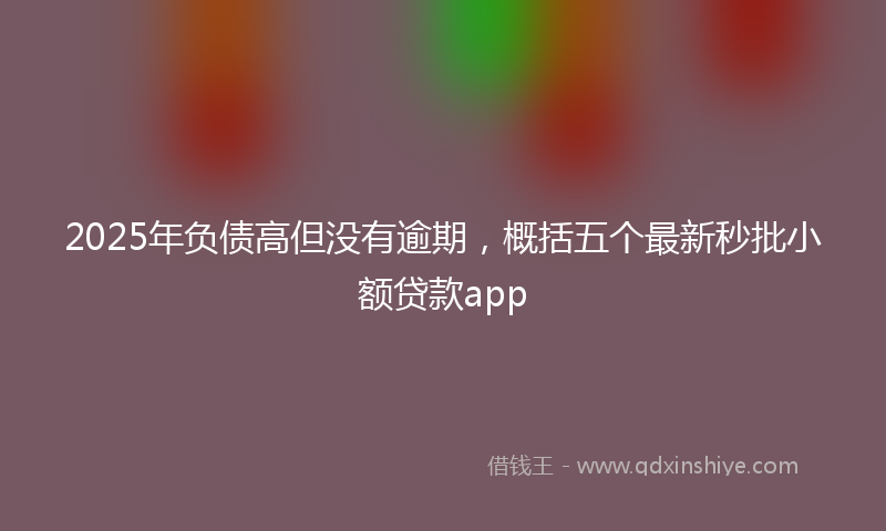 2025年负债高但没有逾期，概括五个最新秒批小额贷款app