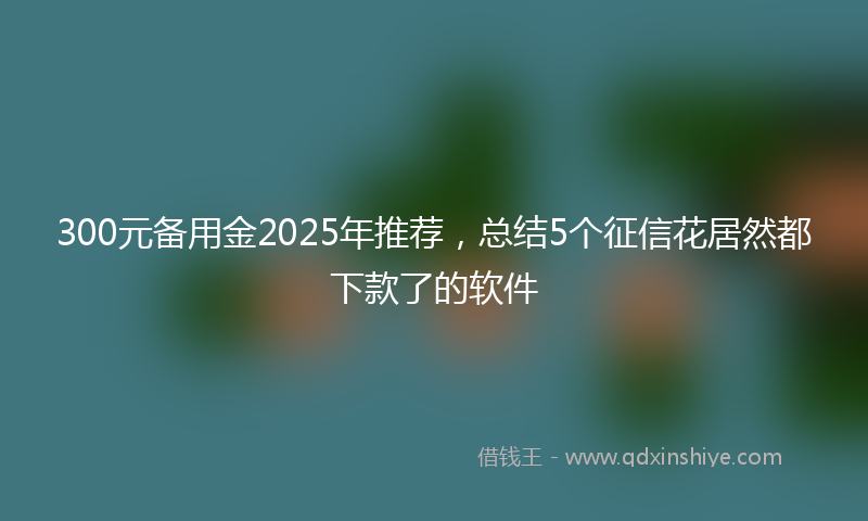 300元备用金2025年推荐，总结5个征信花居然都下款了的软件