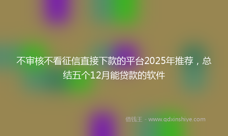 不审核不看征信直接下款的平台2025年推荐，总结五个12月能贷款的软件
