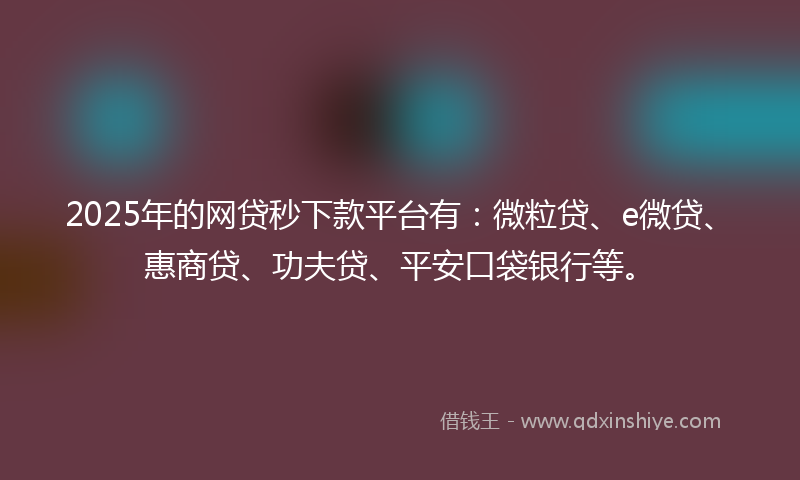 2025年的网贷秒下款平台有：微粒贷、e微贷、惠商贷、功夫贷、平安口袋银行等。