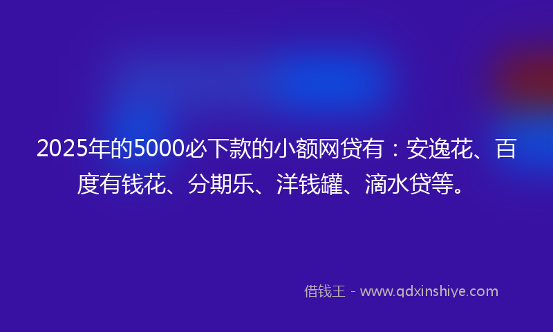 2025年的5000必下款的小额网贷有:安逸花、百度有钱花、分期乐、洋钱罐、滴水贷等。