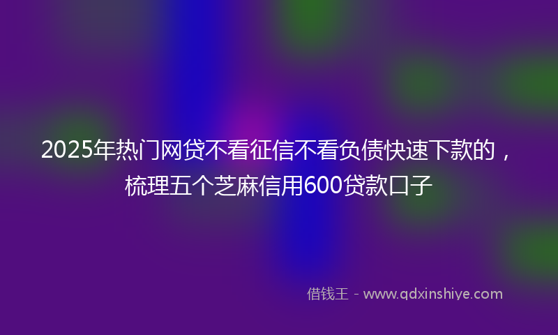 2025年热门网贷不看征信不看负债快速下款的，梳理五个芝麻信用600贷款口子