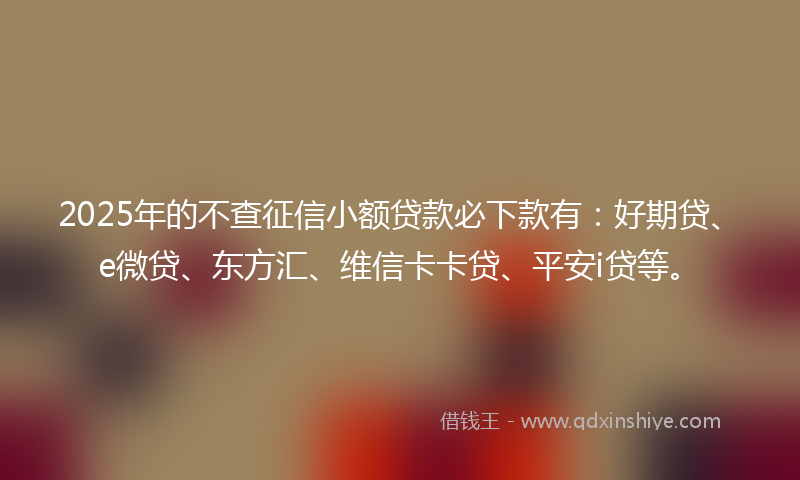 2025年的不查征信小额贷款必下款有：好期贷、e微贷、东方汇、维信卡卡贷、平安i贷等。