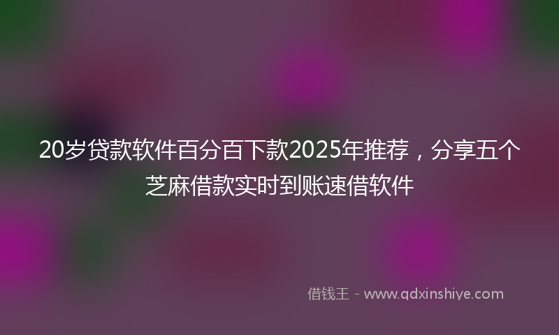 20岁贷款软件百分百下款2025年推荐，分享五个芝麻借款实时到账速借软件