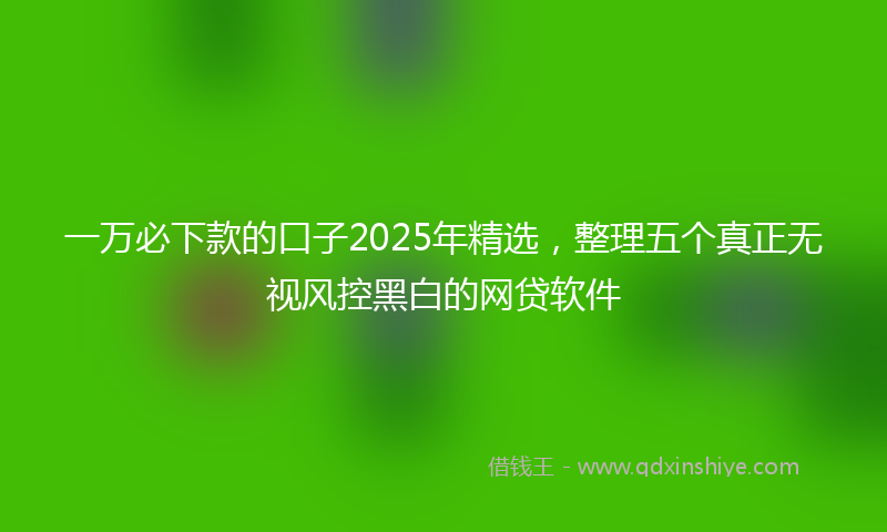 一万必下款的口子2025年精选,整理五个真正无视风控黑白的网贷软件