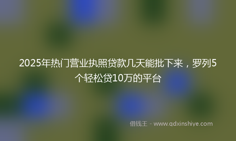 2025年热门营业执照贷款几天能批下来，罗列5个轻松贷10万的平台