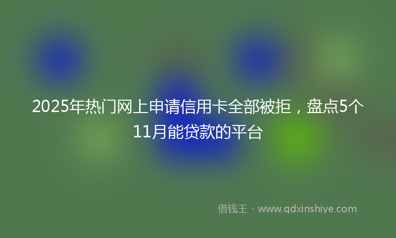 2025年热门网上申请信用卡全部被拒，盘点5个11月能贷款的平台