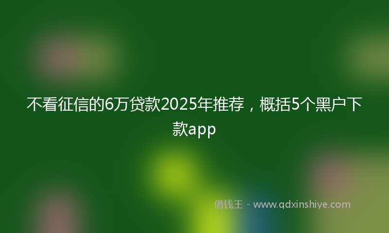 不看征信的6万贷款2025年推荐，概括5个黑户下款app