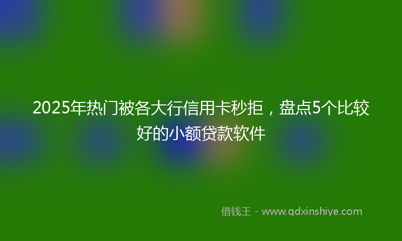 2025年热门被各大行信用卡秒拒,盘点5个比较好的小额贷款软件
