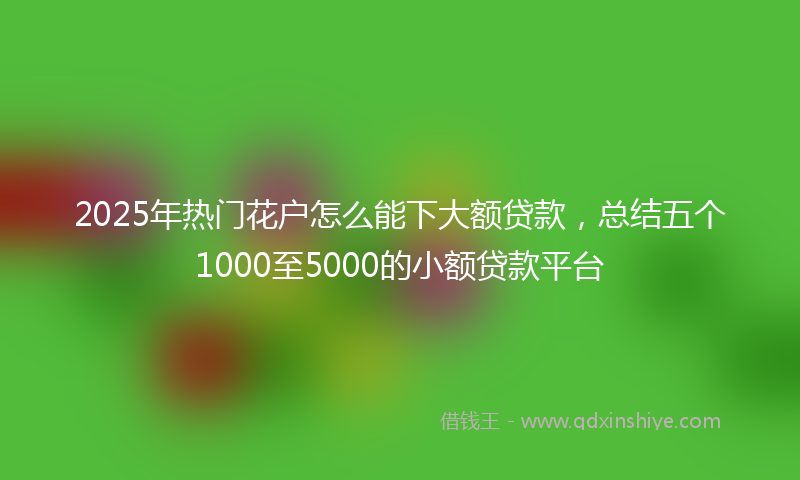 2025年热门花户怎么能下大额贷款，总结五个1000至5000的小额贷款平台