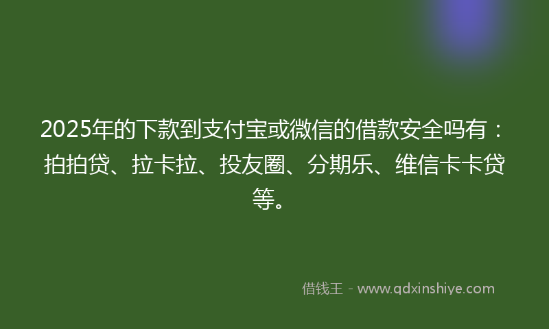 2025年的下款到支付宝或微信的借款安全吗有：拍拍贷、拉卡拉、投友圈、分期乐、维信卡卡贷等。