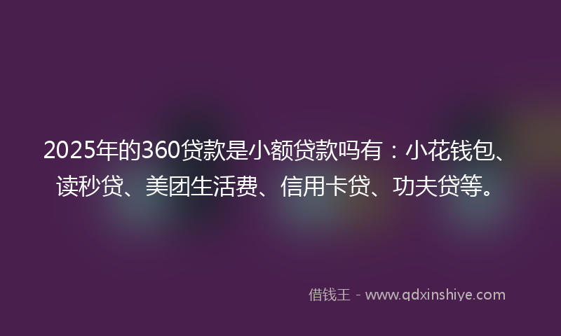 2025年的360贷款是小额贷款吗有：小花钱包、读秒贷、美团生活费、信用卡贷、功夫贷等。
