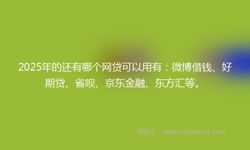 2025年的还有哪个网贷可以用有：微博借钱、好期贷、省呗、京东金融、东方汇等。