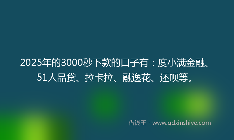 2025年的3000秒下款的口子有：度小满金融、51人品贷、拉卡拉、融逸花、还呗等。