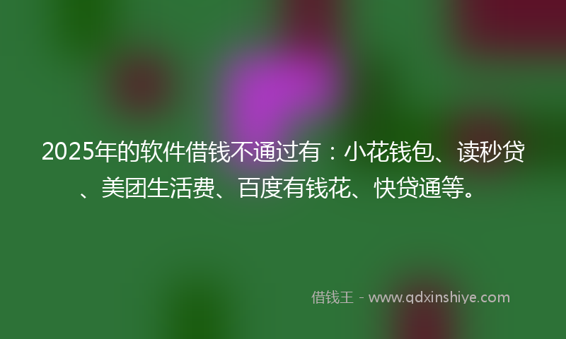 2025年的软件借钱不通过有：小花钱包、读秒贷、美团生活费、百度有钱花、快贷通等。