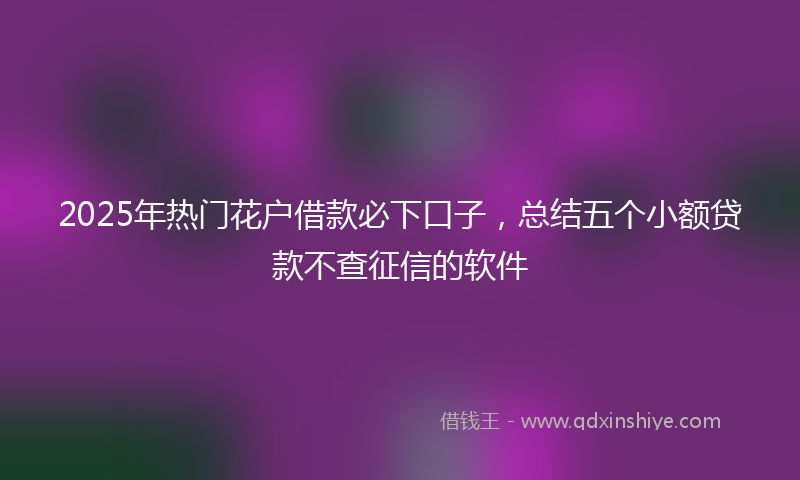 2025年热门花户借款必下口子，总结五个小额贷款不查征信的软件